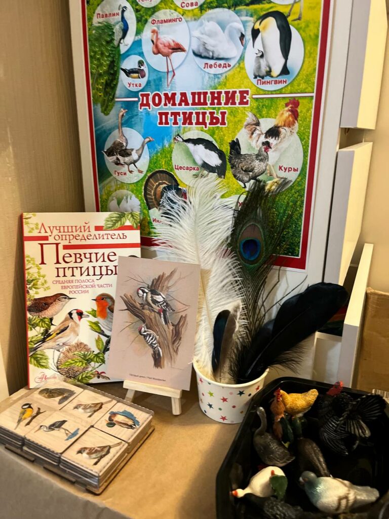 Домашняя выставка о птицах: плакат, книги, определитель, перья, карточки, игрушки.