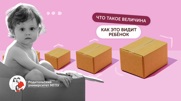 Большой, высокий, узкий: как говорить с дошкольником о величине предметов