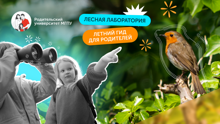 Летняя лаборатория в лесу: как превратить прогулку в исследование